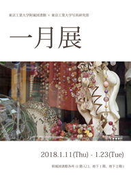 (Poster:PDF)