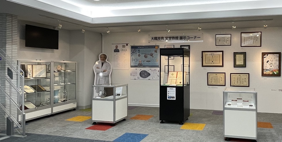 工学・情報理工学図書館 | 東京大学附属図書館